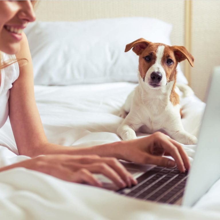 Woman on bed with laptop; jack russell dog looking at camera.