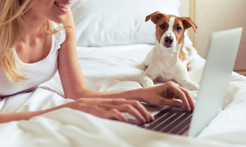 Woman on bed with laptop; jack russell dog looking at camera.