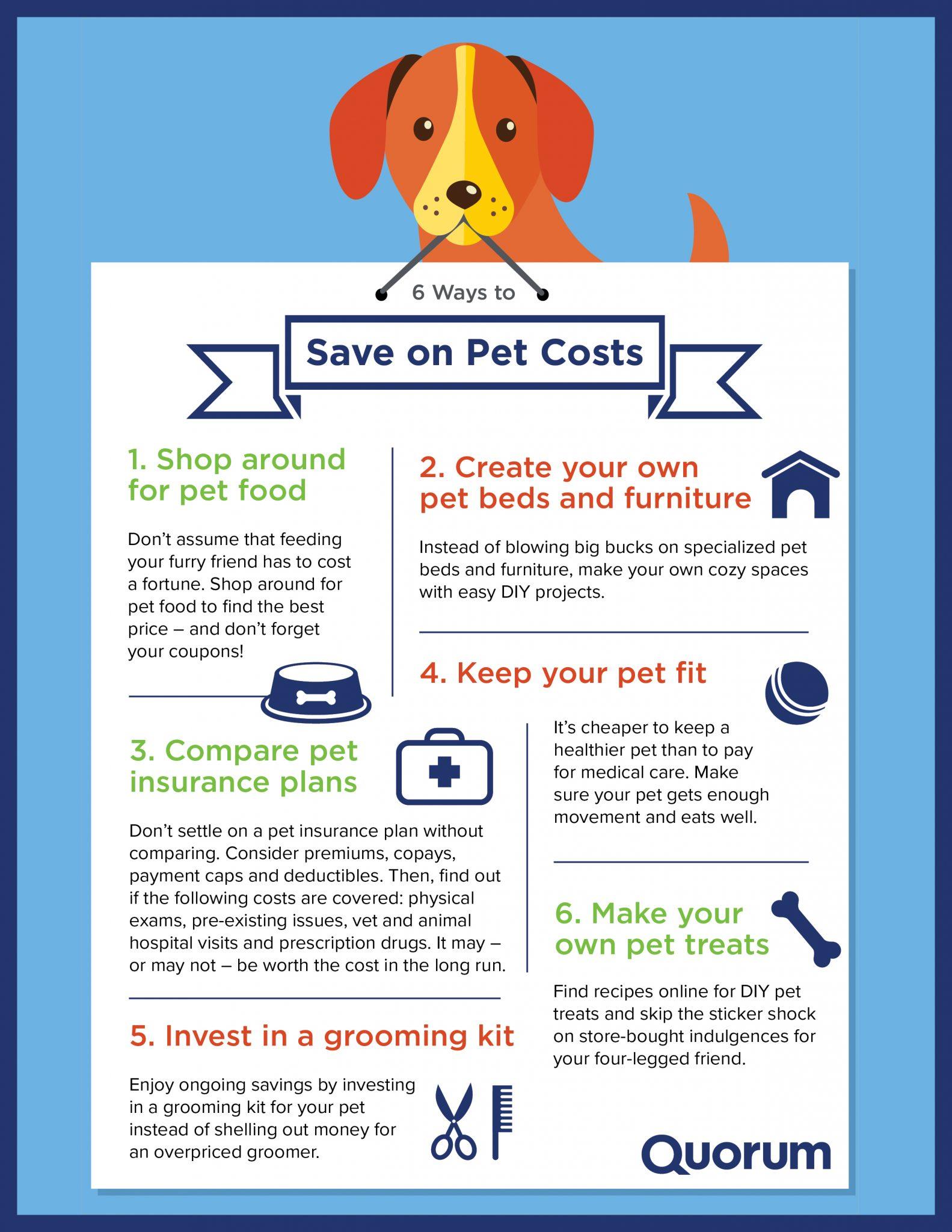 Save on Pet Costs Infographic