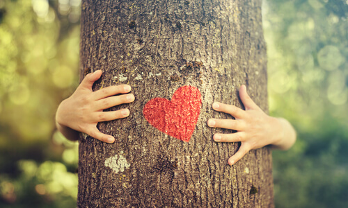 Closeup of red heart on a tree trunk and hands wrapped around the tree, illustrating the concept of saving the environment.